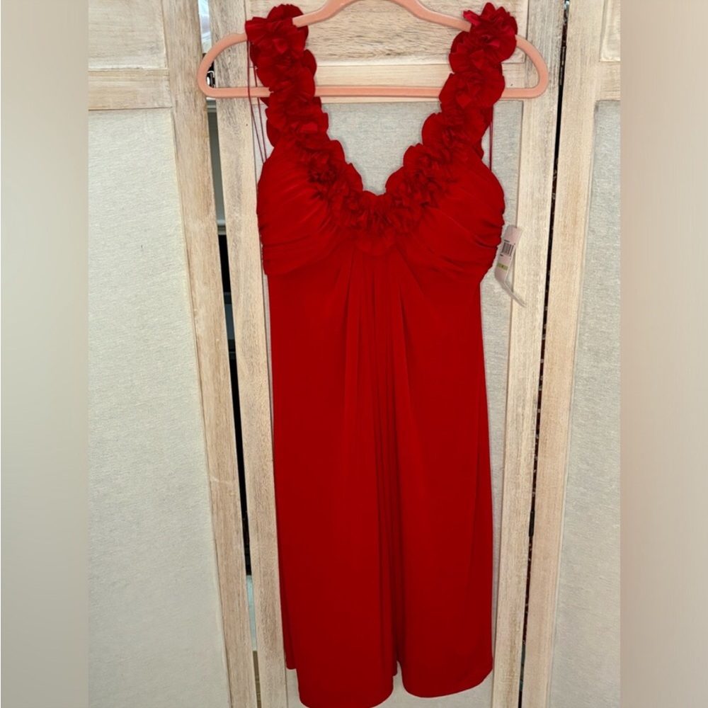 Maggy London Elegant Red Sleeveless Dress